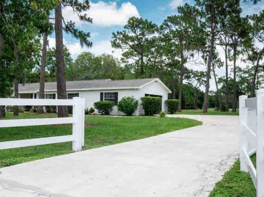 3Bdr2Bath Home In Lutz Close To Tampa, 20 Min To Stadium, Airport Exterior foto